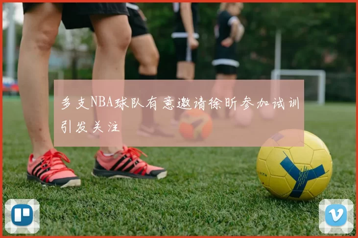 多支NBA球队有意邀请徐昕参加试训引发关注